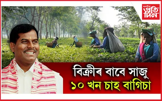 এণ্ড্ৰিউ উইলৰ চাহ বাগিচা বিক্ৰীৰ সিদ্ধান্তক সমৰ্থন তেৰছ গোৱালাৰ...